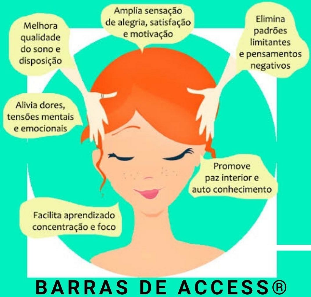 BARRA DE ACCESS